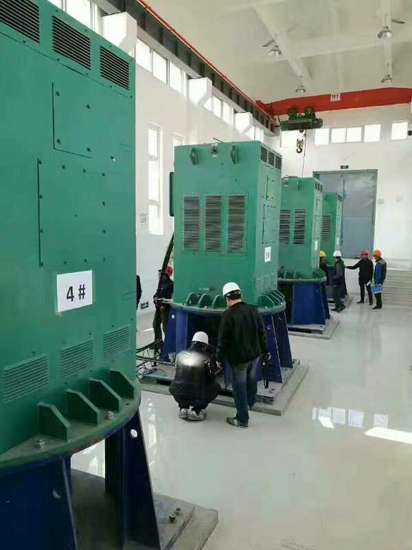 哈尔滨某污水处理厂使用我厂的立式高压电机安装现场